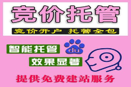 百度推广托管的智慧：一则提升品牌形象的案例